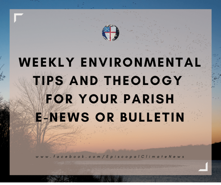 180806 Weekly Bulletin Image