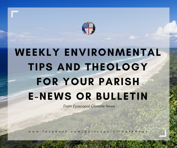 180820 Weekly Bulletin Image