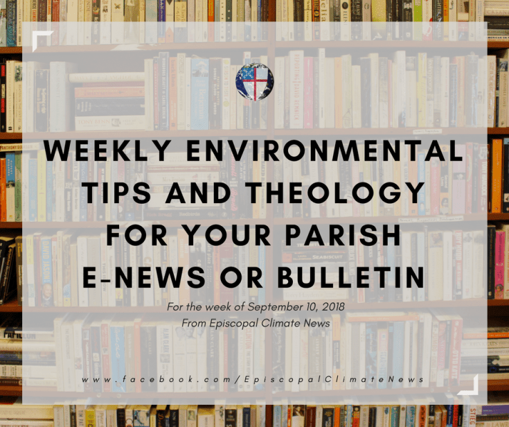 180910 Weekly Bulletin Image