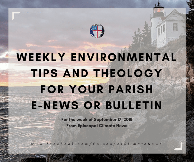 180917 Weekly Bulletin Image