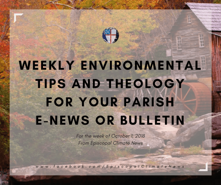 181001 Weekly Bulletin Image