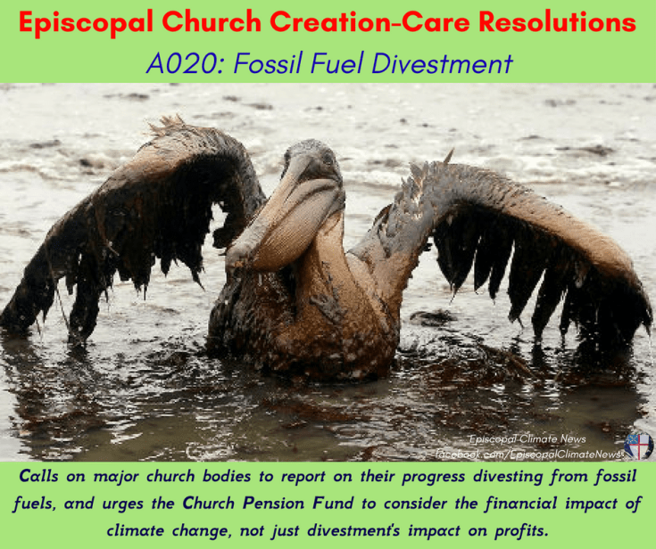 A020_ Fossil Fuel Divestment