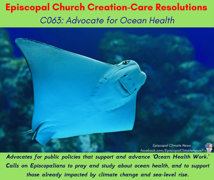 C063_ Advocate for Ocean Health