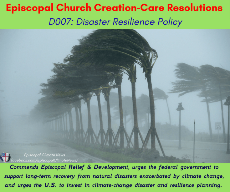 D007_ Disaster Resilience Policy