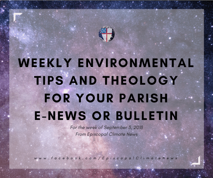 180903 Weekly Bulletin Image