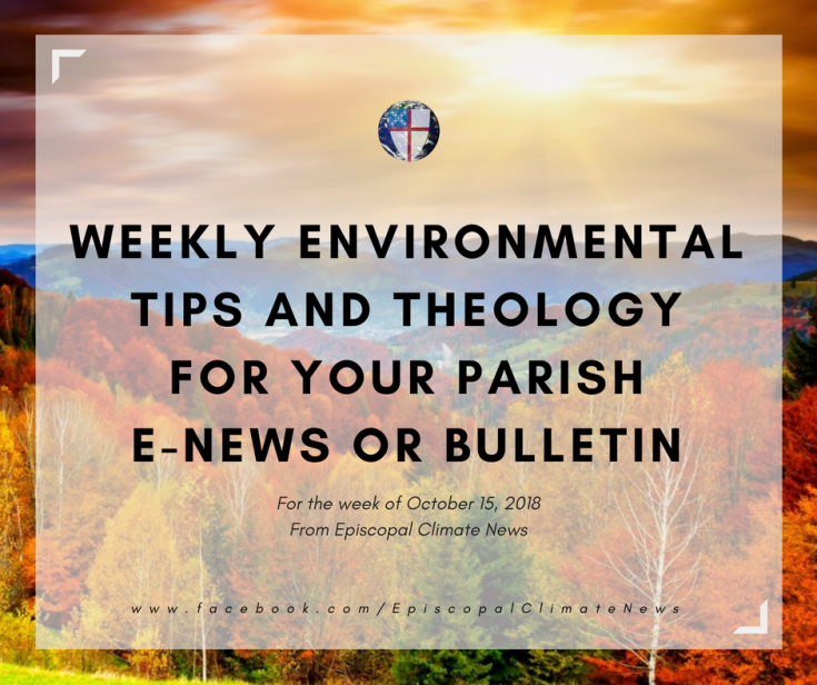 181015 Weekly Bulletin Image