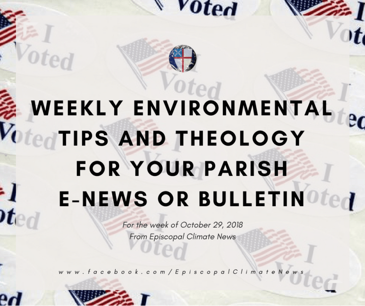 181029 Weekly Bulletin Image