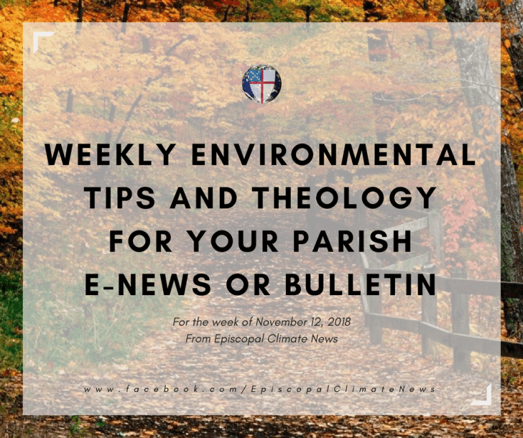 181112 Weekly Bulletin Image